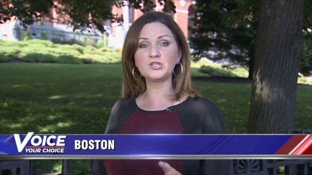 Report on Dr. Shiva Ayyadurai's Candidature for U.S. Senate on WHDH 7 TV