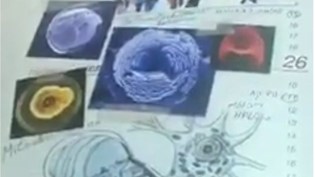 Very cool electronic �book� at WeizmannScience. The mitochondrion.