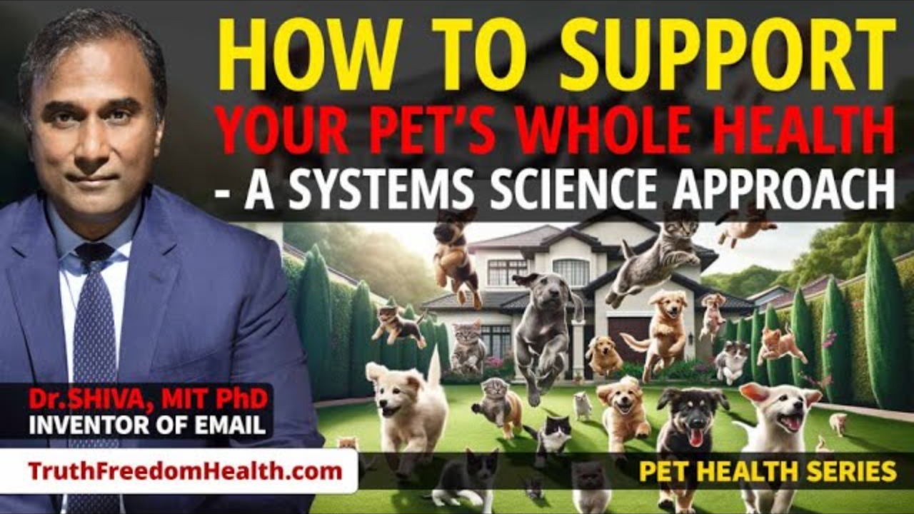 Dr.SHIVA™: Your Pet's Whole Health @CytoSolve Systems Analysis(12/23)