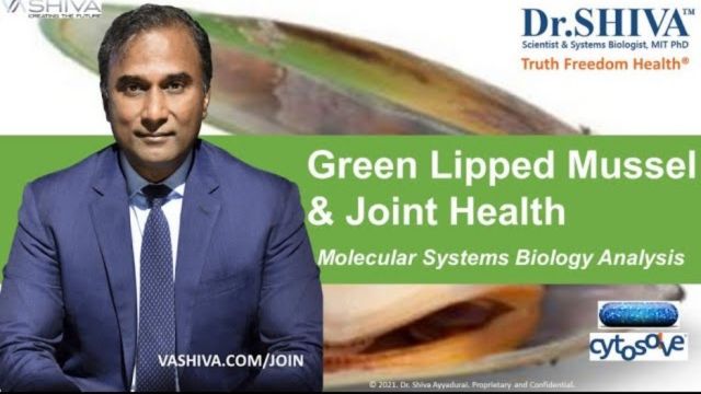 Dr.SHIVA™:Green Lipped Mussel on Joints @CytoSolve® Systems Analysis(3/21)