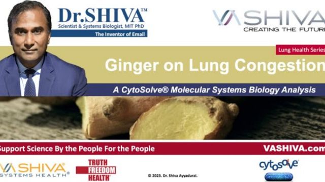 Dr.SHIVA™: Ginger on Lung Congestion. A CytoSolve® Analysis(02/24)