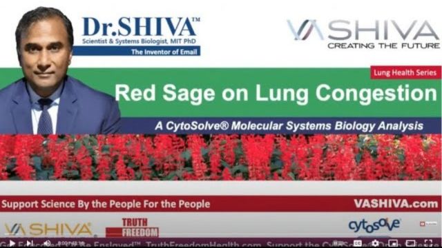 Dr.SHIVA™: Red Sage on Lung Congestion @CytoSolve® Systems Analysis(3/23)