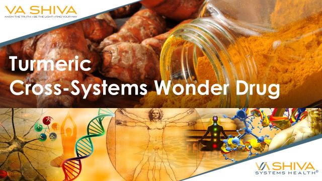 Systems Health Course Lecture Turmeric Cross Systems Wonder Drug