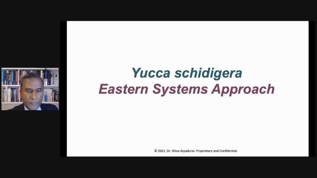 Dr.SHIVA LIVE: How Yucca Affects Joint Health. A CytoSolve Systems Biology Analysis.