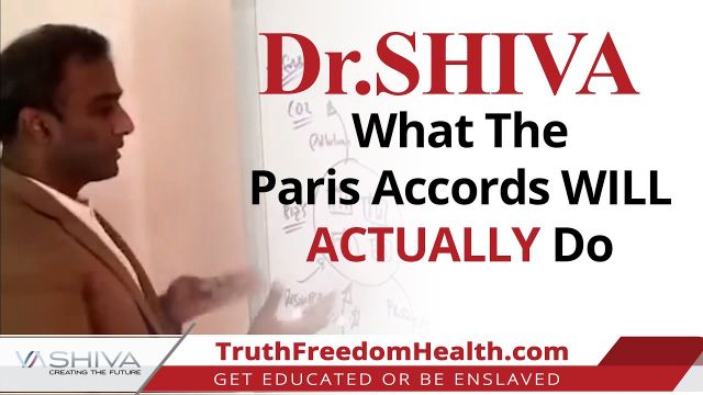 This Is What The Paris Accords Actually Do | #Shorts