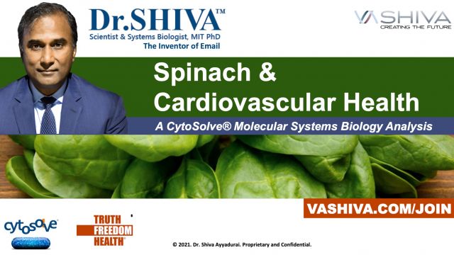 Dr.SHIVA LIVE: Spinach and Cardiovascular Health. A CytoSolve Molecular Systems Analysis.