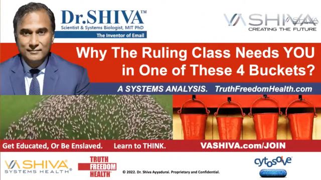 Dr.SHIVA LIVE: Why The Ruling Class Needs YOU in One of These 4 Buckets?