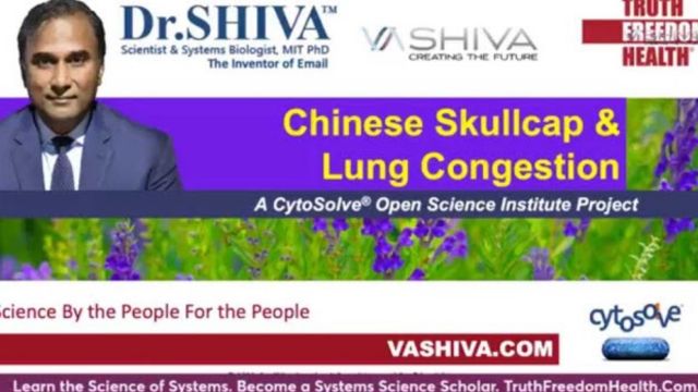 Dr.SHIVA™: Skullcap on Lung Health @CytoSolve® Systems Analysis(3/22)