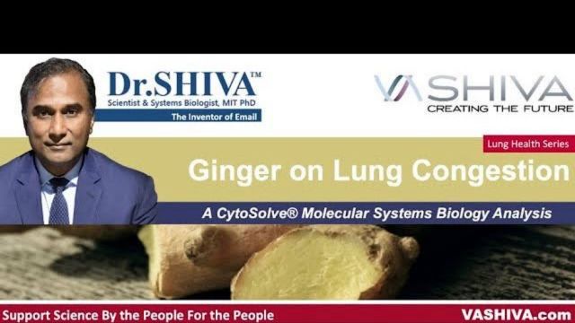 Dr.SHIVA™: Ginger on Lung Congestion. A CytoSolve® Analysis(02/24)