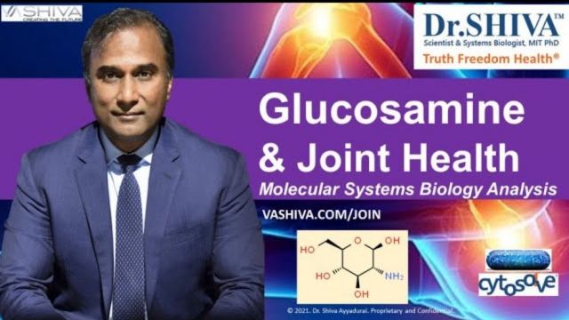 Dr.SHIVA™: Glucosamine on Joint Health @CytoSolve® Systems Analysis(5/23)