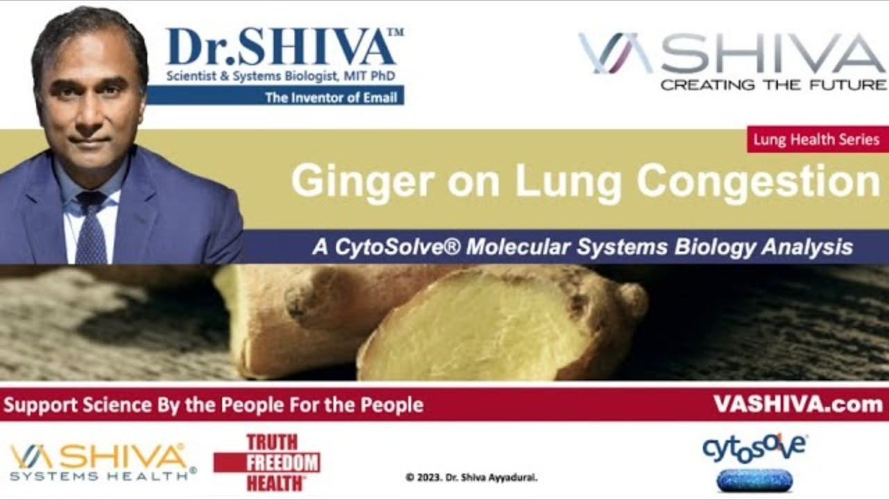 Dr.SHIVA™: Ginger on Lung Congestion. A CytoSolve® Analysis(02/24)