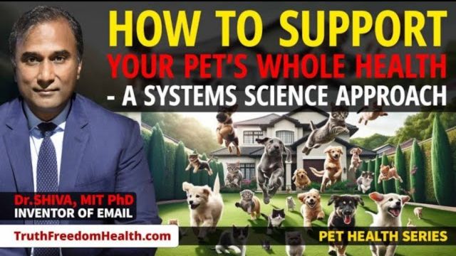 Dr.SHIVA™: Your Pet's Whole Health @CytoSolve Systems Analysis(12/23)