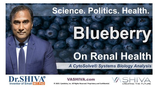 Dr.SHIVA® LIVE – Blueberry on Renal Health: A Whole Systems Approach