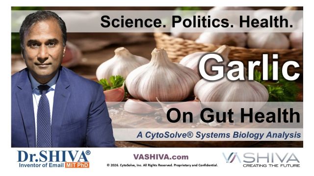 Dr.SHIVA® LIVE – Garlic on Gut Health: A Whole Systems Approach